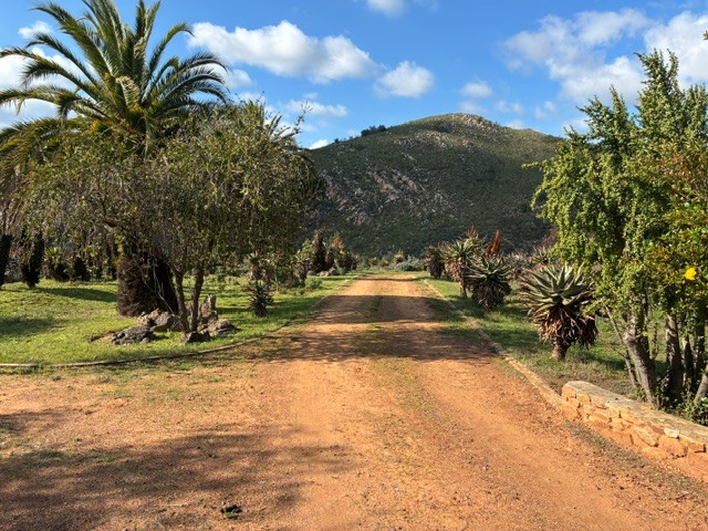 7 Bedroom Property for Sale in Joubertina Rural Eastern Cape